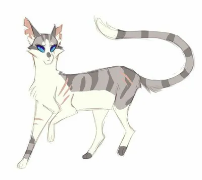 Cat Warriors-Коты Воители Ivypool-Искра❤ | Иллюстрации кошек, Кошачьи  картины, Кошки воины