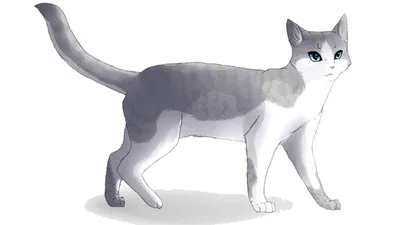 Немного о персонаже Искра• | Коты-Воители🐈 Amino