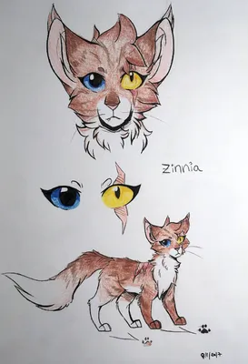 Искра - коты воители by Vesya on Sketchers United