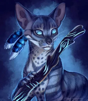Bluestar//Warrior cats// | Warrior cats, Warrior cats fan art, Warrior cats  art