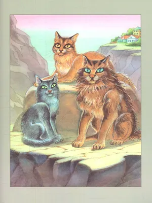 Книга Коты-воители. Восход луны - купить в ИП Зинин, цена на Мегамаркет