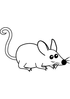Мышь с сердечком - 54 фото