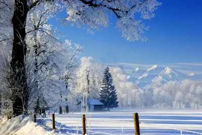 Красивая зимняя природа - 76 фото