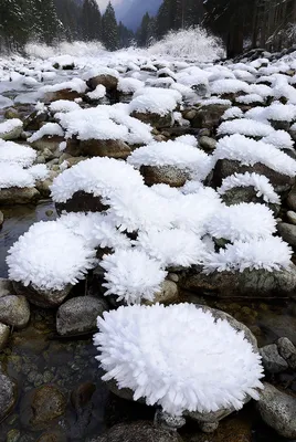 40 фотографий зимних природных произведений искусства