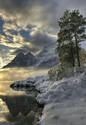 Природа зима - фото и картинки: 60 штук