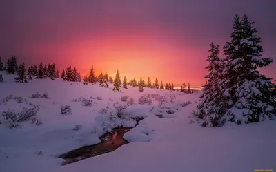 Красивая природа зимы стоковое фото. изображение насчитывающей изморозь -  48722738