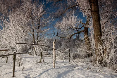 Красивая природа России, зима.» — создано в Шедевруме