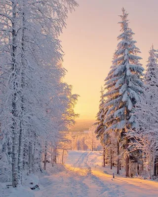 Открытки зима природа красивые - 83 фото