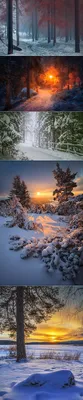 Фото Россия село Зима Природа Снег Дома Города Деревья сезон года