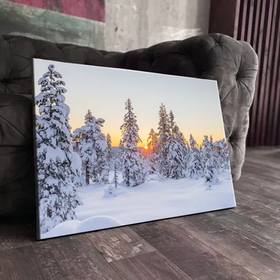Красивая природа фото обои Деревья Снег 184x254 см Зима в лесу  (12923P4A)+клей (ID#1540136688), цена: 950 ₴, купить на Prom.ua