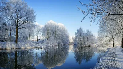 Зимний лес снежные таежные холмы Красивая красивая природа России. Тайга  зимой. Холодная снежная пасмурная погода стоковое фото ©zozulya86 331274928