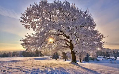 Зима! Красивая природа | Фоновые рисунки, Зимние сцены, Зима