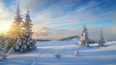 Обои Природа Зима, обои для рабочего стола, фотографии природа, зима,  сугробы, вершина, ёлки, небо, красиво, деревня, домики, тени, сказочно,  мороз, и, солнце, день, чудесный, склон, лес, ели, красота, лыжня, холмы,  тропинка, горы,