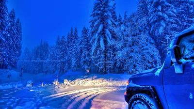 Картинки зима, снег, лес, авто, вечер, зима, красиво - обои 2560x1440,  картинка №162447