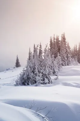 Обои на телефон зима | Зимние сцены, Пейзажи, Зимняя фотография