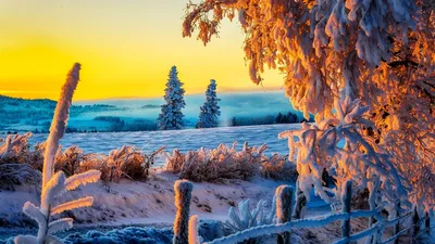 Красивый зимний фон (35 фото) - 35 фото