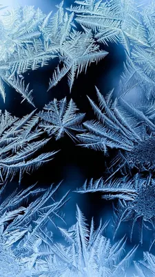 Картинки зима, снег, деревья в снегу, красиво, закат, природа, зимняя пора,  морозец - обои 1280x800, картинка №157428
