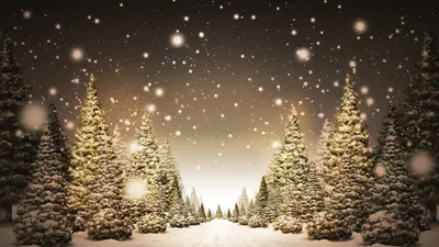 Скачать обои фонари, снег, зима, снежинки, набережная разрешение 4752x3168  #42069