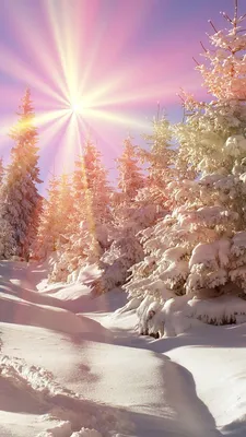 Красивые пейзажи зимы (51 фото) - 51 фото