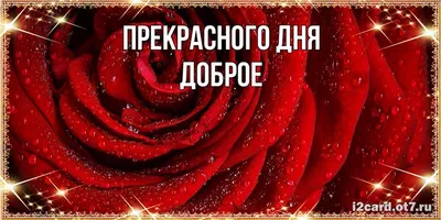 розы на предпосылке розового красивого дня рождения украшения приветствию  деревянной винтажной деревенской Стоковое Фото - изображение насчитывающей  романско, бобра: 111861492