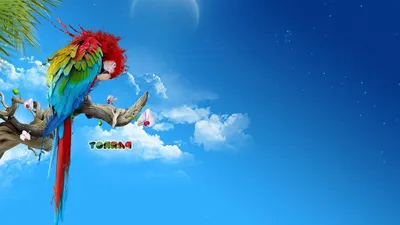 Обои full hd Красочный попугай 1920х1080 | Parrot wallpaper, Bird  wallpaper, Parrot image