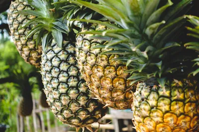 Красивый ананас с широкой улыбкой в…» — создано в Шедевруме