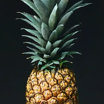 Fabulous | Pineapple art, Pineapple wallpaper, Pineapple pictures