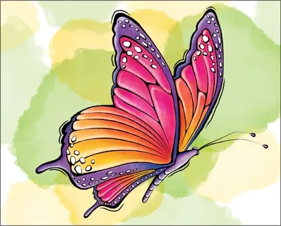 Раскраски красивые Бабочки - Раскраскина