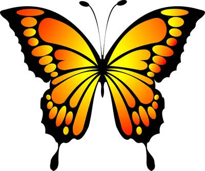 милые бабочки, нарисованные ручной цвет воды. тонкий синий и фиолетовый  цвет бабочек Стоковое Фото - изображение насчитывающей баффи, приветствие:  275441266