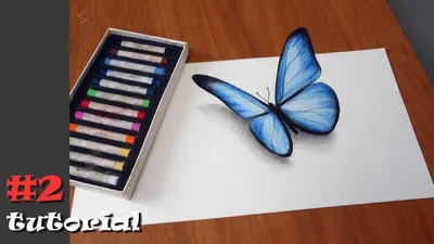 How to Draw a Butterfly Step by Step ✿ Easy Drawing Tutorial - YouTube