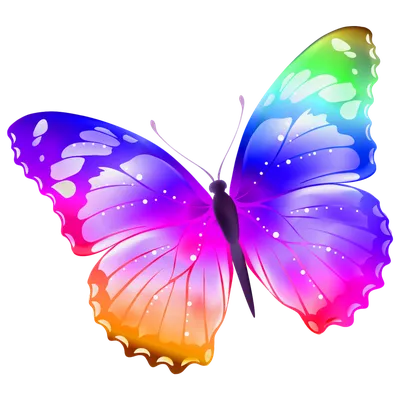 Как нарисовать бабочку в 3d. Иллюзия объема БЕЗ КАМЕРЫ и под любыми  углами!!! - YouTube