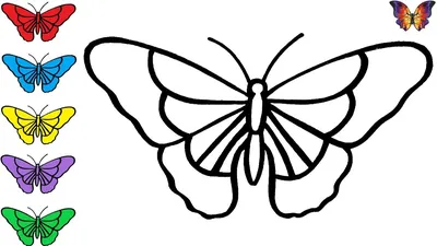 Как нарисовать бабочку: 15 красочных вариантов - Лайфхакер