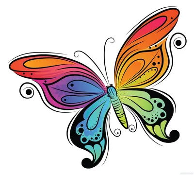 Красивые бабочки-синеглазки | Пикабу