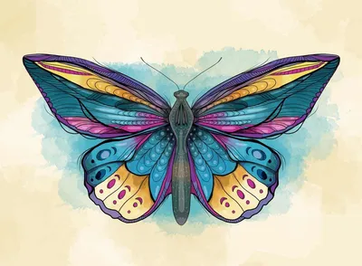 бабочка, -, красивая бабочка круг, бабочка, красивая бабочка, красочная  бабочка png | Klipartz