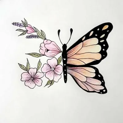 Красивые рисунки, картинки бабочки для детей - коллекция