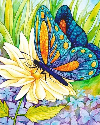 Все бабочка красивые бабочки хорошего качества...