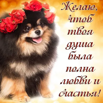Пожелания хорошего дня в картинках, своими словами, в стихах, в смс и  христианские пожелания доброго дня — Украина