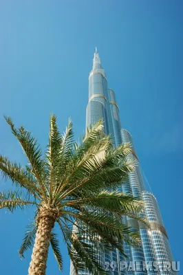 Самые красивые места Дубая с видом на город