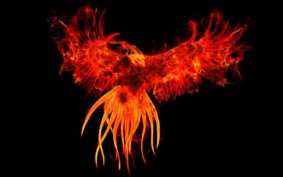 Phoenix by maxprint | Phoenix artwork, Phoenix bird art, Phoenix tattoo
