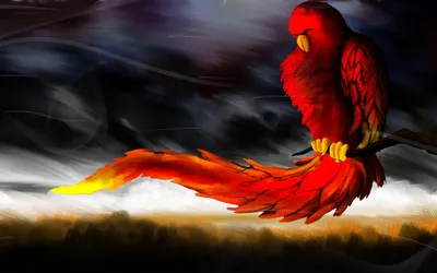 Птица феникс, яркая, красивая, с …» — создано в Шедевруме