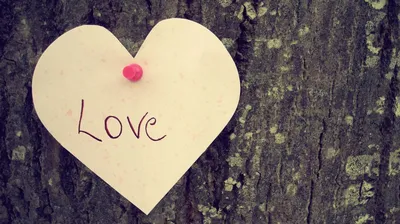 Девять мотивирующих цитат о любви. Цитатник ко Дню влюбленных —  Ревда-инфо.ру