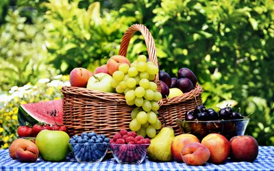 «Тур де фрукт». В какие регионы стоит отправиться за фруктами и ягодами |  Ассоциация Туроператоров