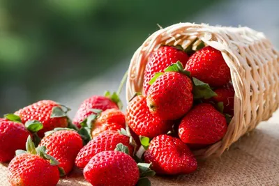 ТОП-10 овощей, фруктов и ягод для здоровья | Ведомости законодательного  собрания НСО
