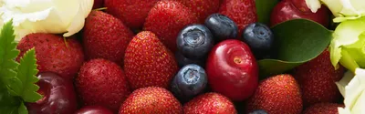 10 правил качественной заморозки ягод и фруктов. Какие фрукты и ягоды можно  заморозить на зиму. Фото — Ботаничка