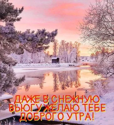 Картинки на 8 марта: красивые, прикольные и необычные открытки к празднику  - МК Новосибирск