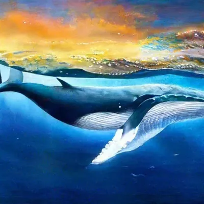 Скачать картинки Красивые китов, стоковые фото Красивые китов в хорошем  качестве | Depositphotos