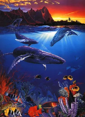 Всемирный день кита, фото млекопитающих | Дніпровська порадниця