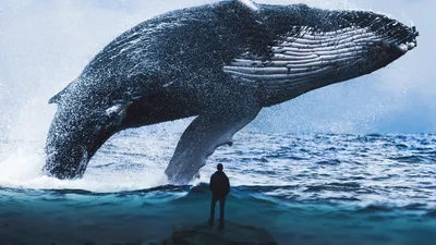 Розовый кит: самый большой и красивый вид китов» — создано в Шедевруме