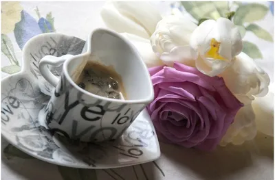 Весенние цветы эстетика.Кофе.Книга | Кофейные иллюстрации, Кофе, Весенние  цветы