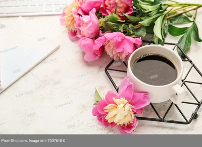 Утренняя Чашка Кофе И Красивые Цветы Розы — стоковые фотографии и другие  картинки Без людей - Без людей, Белый, Букет - iStock